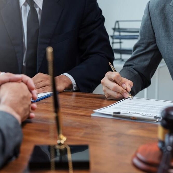 Dispute & Litigation Support