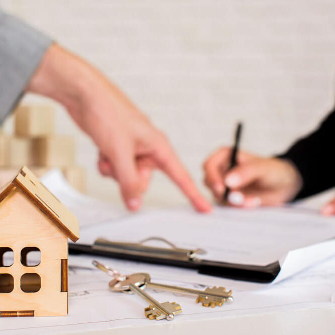Succession & Estate Planning